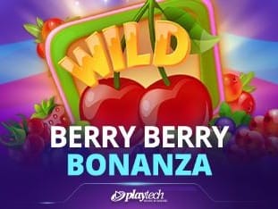 Berry Berry Bonanza game cover