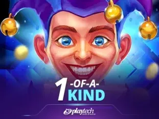 1-of-a-kind game cover
